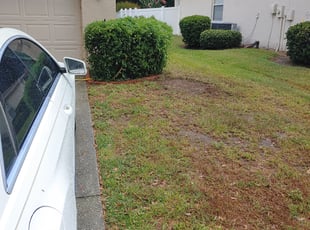 Leaf Removal by Frank Lawrence for Greg H. in Plant City, FL