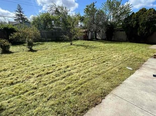 Jozef S.'s Lawn Mowing Service service result
