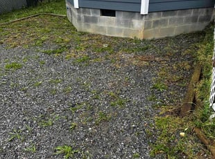 Weeding by Evan Edler for Spencer d. in Richmond, VA