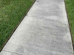 Weeding by Jaylon Fair for Ryan A. in Apopka, FL