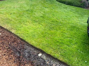 Carolyn C.'s Lawn Mowing service result