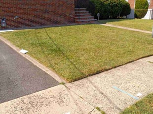 Abood A.'s Lawn Maintenance service result