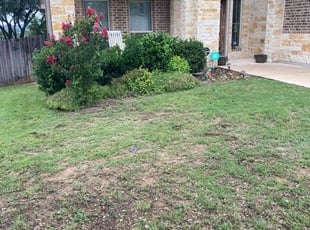 Weeding by Bradley Matthiesen for Danielle E. in Boerne, TX