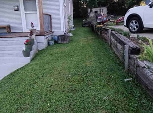 Teri B.'s Lawn Service service result