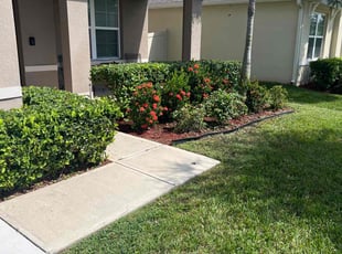 Bush Trimming by Harold Cummings for Courtney S. in Palm Bay, FL
