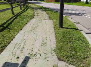 Edward M.'s Lawn Care service result