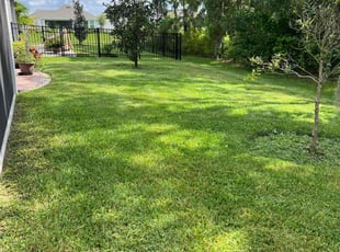 Kimberly S.'s Lawn Care service result