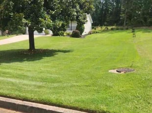 Kandice S.'s Lawn Maintenance service result