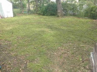 Cleanups by James Buchanan for Jenee W. in Kansas City, MO