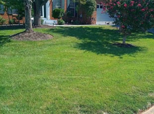 Jalpa P.'s Lawn Care service result