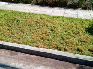Cleanups by Kristofel Simbajon for Nate M. in Seattle, WA