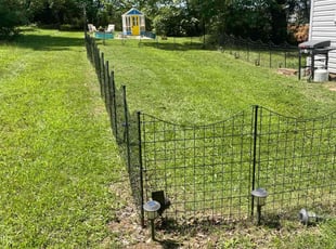 David M.'s Lawn Care service result