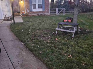 Leaf Removal by Chris Runyan for Rachel K. in Cincinnati, OH