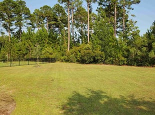 Sandra A.'s Lawn Mowing service result