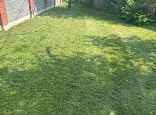 Bernice B.'s Lawn Care service result