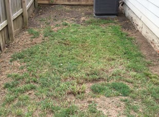 Cleanups by Randall Whalen for Jacqueline J. in Memphis, TN