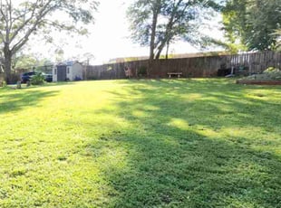 Denise O.'s Yard Cutting service result