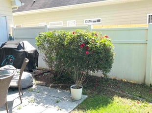 Bush Trimming by Billy Webb for Sonya B. in Charlotte, NC