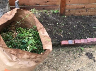 Mulching by Giovanni HErnandez for Susan W. in Washington, DC