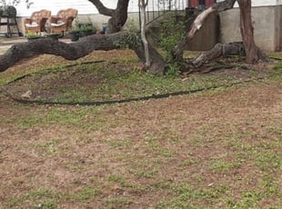 Leaf Removal by Jose Torres for Joannie R. in San Antonio, TX