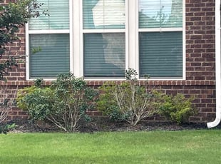 Weeding by Jecory Garrett for Jennifer W. in Madison, AL
