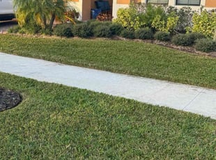 Nicole M.'s Lawn Maintenance service result