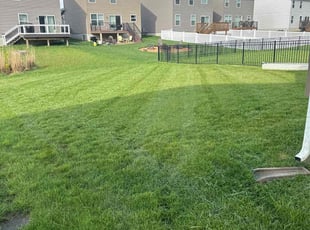 Joyce M.'s Grass Cutting service result
