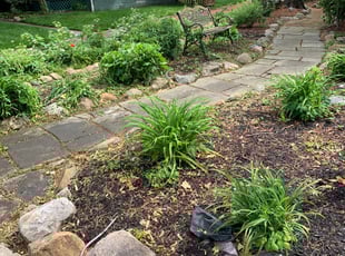 Weeding by Brutell Dandridge for William S. in Cleveland, OH