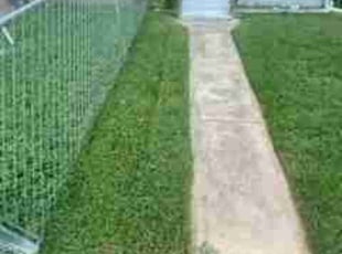 Douglas C.'s Yard Cutting service result