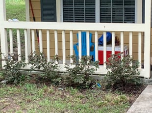 Bush Trimming by Brandon Langworthy for karen D. in Tallahassee, FL