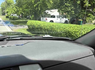 Bush Trimming by Harrison Thomas for Hannah B. in Mentor, OH