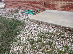 Weeding by Telvin Townsend for Jeremiah Y. in Longmont, CO