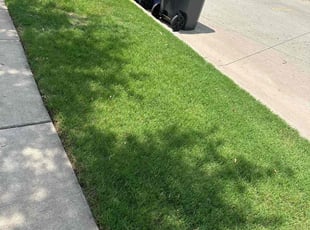 Cleanups by Brennen Dikes for Chessly N. in McKinney, TX