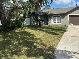 Evandro J.'s Grass Cutting service result