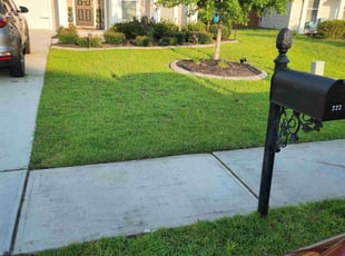 Mary H.'s Lawn Mowing service result