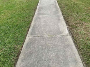 Elizabeth S.'s Lawn Care service result