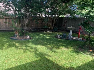 Lambros I.'s Lawn Mowing service result