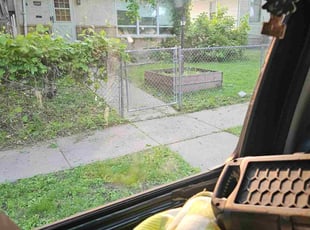 Steve H.'s Weeding service result