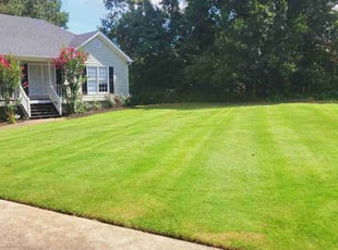 Sue B.'s Yard Cutting service result