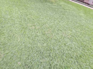 Christopher C.'s Yard Cutting service result
