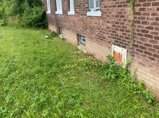 Bush Trimming by Troy Stokes for Osei N. in Detroit, MI