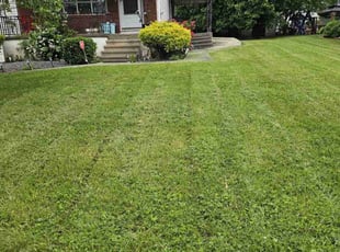 Mimi J.'s Lawn Maintenance service result