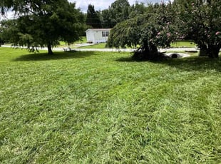 Cleanups by Anjelina Cao for Jesse T. in Hendersonville, NC