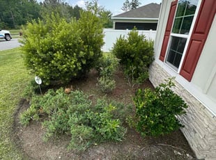 Weeding by Jeremy Faulk for Aeriell Q. in Jacksonville, FL