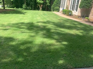 Joyce W.'s Lawn Service service result