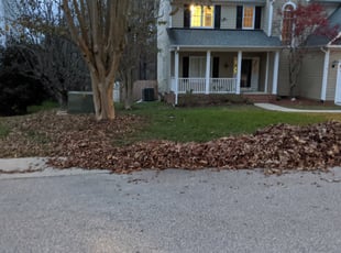 Cleanups by Logan Lawson for Keenan C. in Raleigh, NC