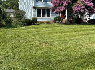 Dana S.'s Lawn Mowing service result