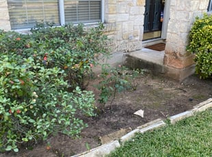Weeding by Joshua Benouis for Tonia R. in Round Rock, TX