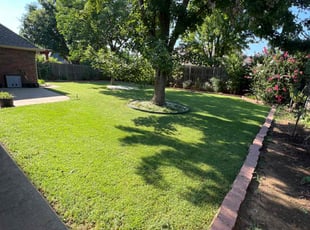 Chad N.'s Lawn Service service result