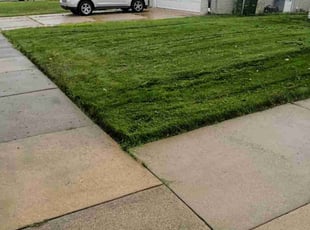 Matthew S.'s Grass Cutting service result